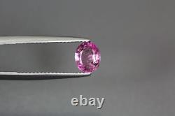 1.545 Ct Unique Royal Hi-End Pink Rare Natural Ceylon Unheated Sapphire Gem
