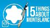 15 Things You Didn T Know About Montblanc