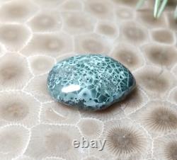 2g Beautiful Isle Royale Greenstone Chlorastrolite Cabochon Rare Turtleback Patt