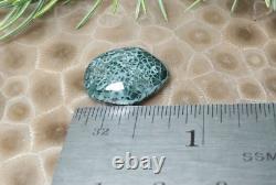 2g Beautiful Isle Royale Greenstone Chlorastrolite Cabochon Rare Turtleback Patt