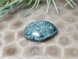 2g Beautiful Isle Royale Greenstone Chlorastrolite Cabochon Rare Turtleback Patt