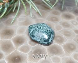 2g Beautiful Isle Royale Greenstone Chlorastrolite Cabochon Rare Turtleback Patt