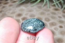 2g Beautiful Isle Royale Greenstone Chlorastrolite Cabochon Rare Turtleback Patt