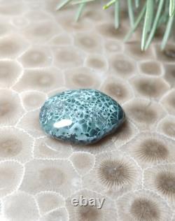 2g Beautiful Isle Royale Greenstone Chlorastrolite Cabochon Rare Turtleback Patt