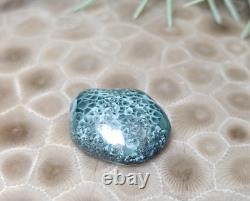 2g Beautiful Isle Royale Greenstone Chlorastrolite Cabochon Rare Turtleback Patt