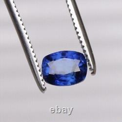 5.00 Ct. Cushion Cut Blue Ceylon Sapphire Natural Royal RARE Loose Gemstone VVS1