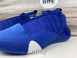 Adidas Harden Volume 7 White Royal Blue Basketball (IE9248) NEW HP3020 RARE
