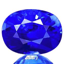 Natural Sapphire 2.61ct Wow Huge Fantastic Rare Best Royal Blue Ceylon Sapphire