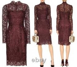 Rare New Dolce & Gabbana Maroon Guipure Lace Dress Aso Royal 38, UK 10, USA 8