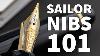 Sailor Nibs Demonstration And Overview