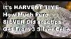 Silver Cell Day 16 Silver Crystal Harvest